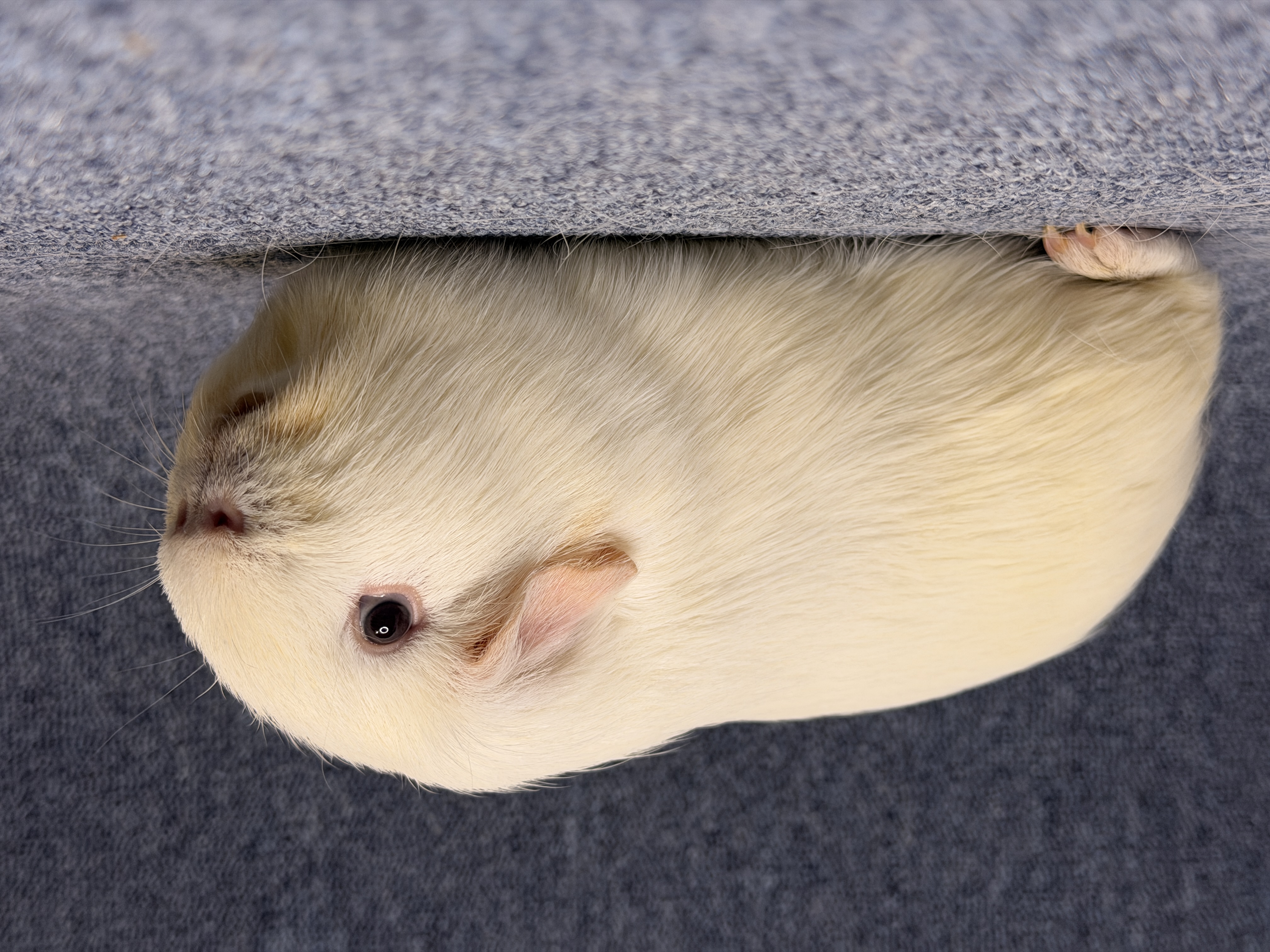 Neue Bilder auf der Homepage - 14.12.2025