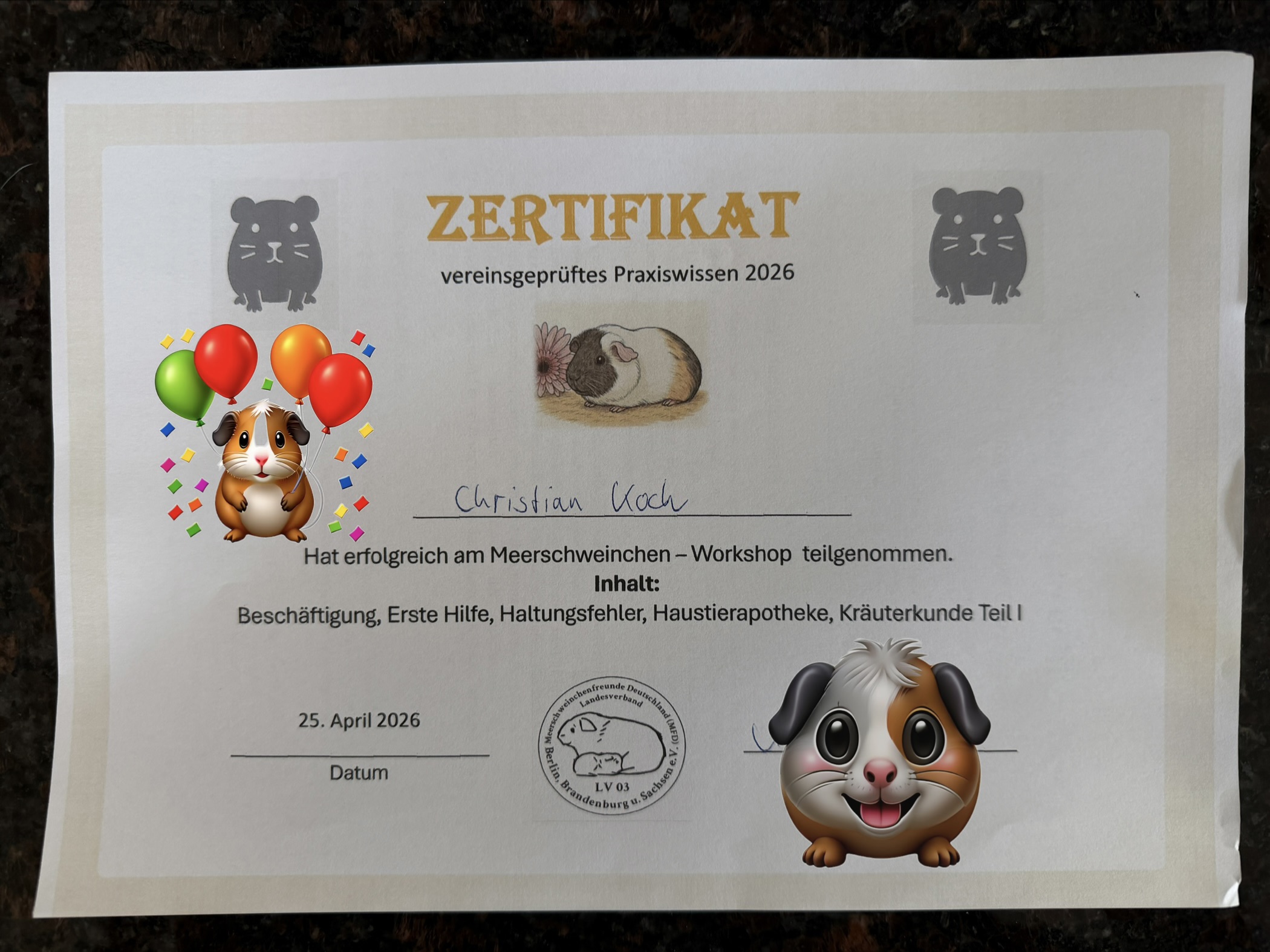 25.04.2026 Workshop