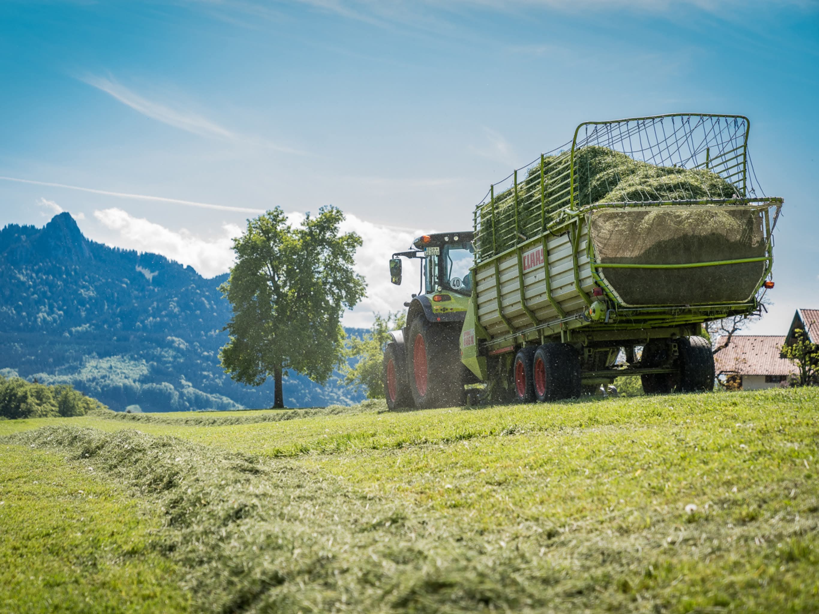 04.03.2026 - Heu Empfehlung, die „Van Barnims“ Schwören darauf